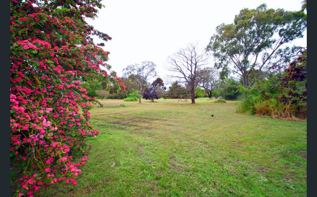 E Williams property
