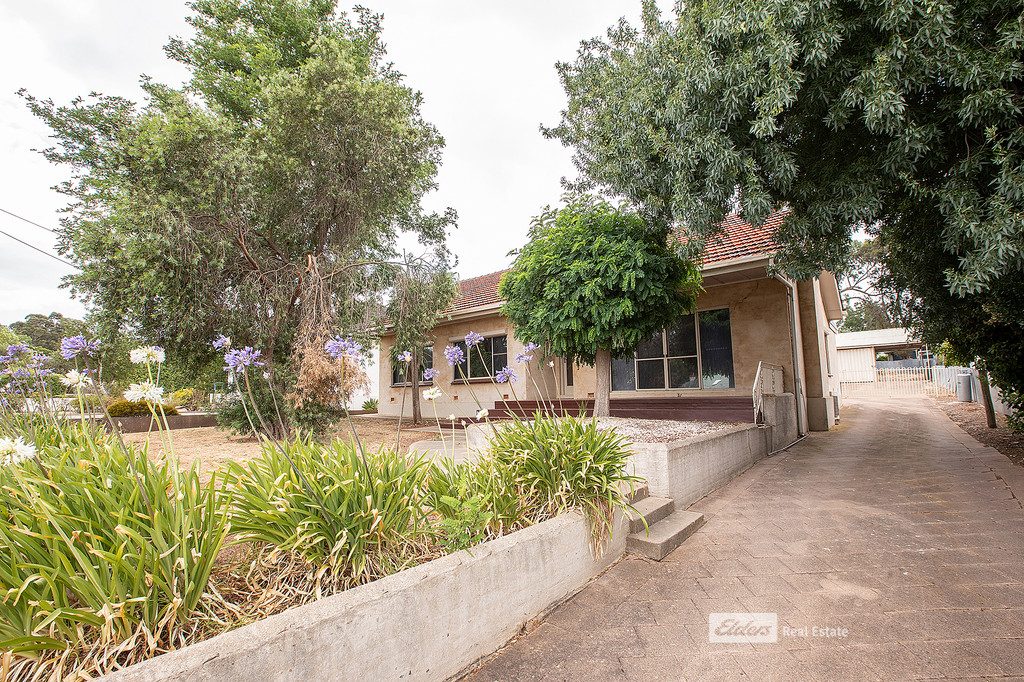T Storch property