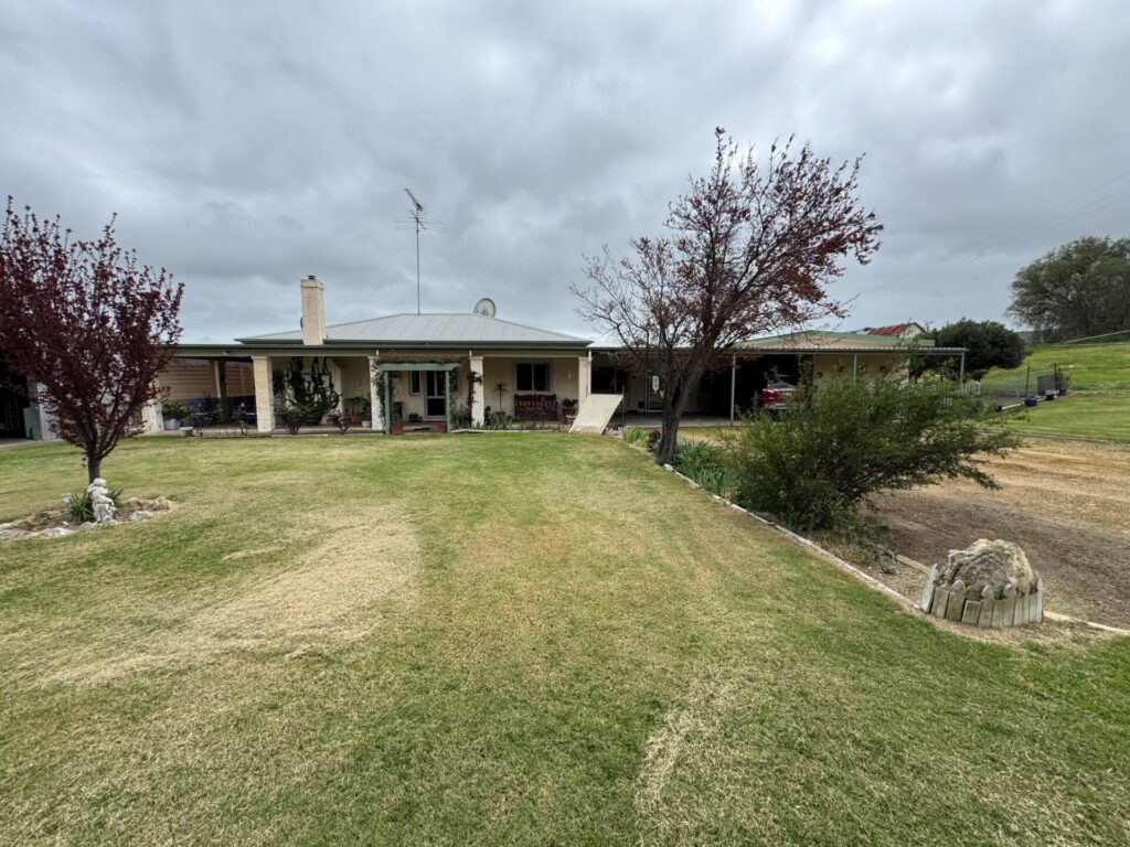 Seller of house, Padthaway property